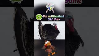 Gobble Gobble Fun Turkey Song for Kids  Sing Along with Cute Turkeys  EduFam Nursery Rhymes [upl. by Rutan]