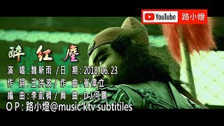 魏新雨  醉紅塵  DJ版  1080PKTV [upl. by Fe]