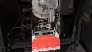 viessmann boiler cleaning 1 [upl. by Olivier]