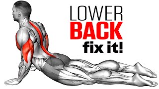 Exercises To Reduce Lower Back Pain [upl. by Ordisi]