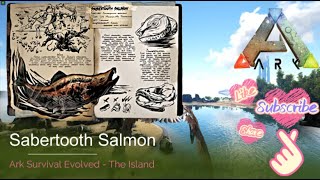 Sabertooth Salmon Dossier  ARK  The Island [upl. by Walton637]