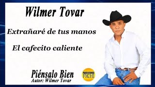 Piénsalo bien Wilmer Tovar arpacover [upl. by Arimaj]