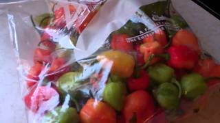 How To Store Hot Peppers For The Winter Without Losing Its Heat And Flavors [upl. by Orfurd298]