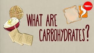 How do carbohydrates impact your health  Richard J Wood [upl. by Gnok]