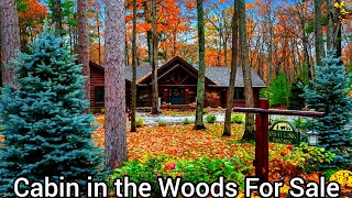 Michigan Lake Log Cabins For Sale  4bd  4ba  Fully Furnished Cabins  Michigan Real Estate [upl. by Erdah]