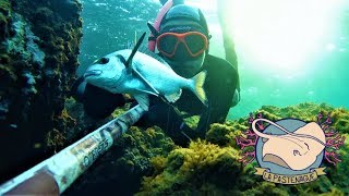 Spearfishing Indienne par petits fonds compilation  EPISODE 5 [upl. by Revlis]