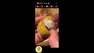 FILIPINO VIRAL FOOD DELICACY LETS CRACK AND PEEL FERTILIZED DUCK EGG eggembryo balut [upl. by Anawt]