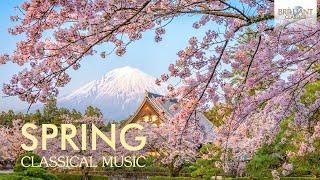 Spring Classical Music Beethoven Tchaikovsky Rachmaninoff Ravel [upl. by Luckin906]