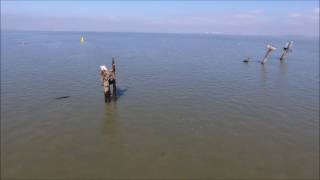 SS Richard Montgomery by drone [upl. by Orsino333]