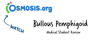 Bullous Pemphigoid Osmosis Study Video [upl. by Nabois]