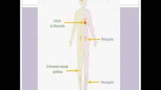 Endocrino 4  Fisiología del Páncreas y del Tejido Adiposo  parte 34 [upl. by Aissela]