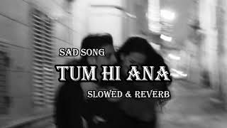 Tum Hi Ana Song Lofi Slowed Reverb Hindi Song  Arijit singh  Sad Song lofi slowedandreverb [upl. by Hauger]