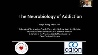 Neurobiology of Addiction Webinar 392023 [upl. by Elay]