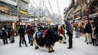 Finally Heavy Snowfall in Mallroad Manali  Solang Valley  Snowfall live❄️❄️ [upl. by Britteny311]