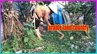 Vlog Daily  Tilling the soil to plant trees [upl. by Lemor945]