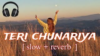 teri chunariya  lofi song  kumar sanu  alkayagnik  old song  slow reverb  BB Lofi 2006 [upl. by Barret]