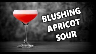 How To Make The Blushing Apricot Sour  Booze On The Rocks [upl. by Nednal]