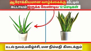 இந்த 12 செடிகள் வீட்டில் வளர்த்தால் ஏற்படும் மாற்றங்கள்  Healthy Plants for Life [upl. by Sachs398]