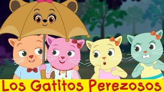 Los Gatitos Perezosos The Lazy Kittens  Programa Comedia De Dibujos Animados  ChuChu TV Cutians [upl. by Luy]