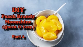 DIY Peach Brandy Moonshine Part2 [upl. by Rosetta709]