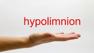 How to Pronounce hypolimnion  American English [upl. by Eila]