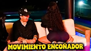 LA PROFE DE TWERK MUESTRA SU MEJOR MOVIMIENTO  WESTCOL [upl. by Ynottirb]