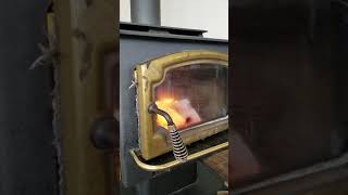 LOPI Endeavour wood stove startup [upl. by Ardek278]