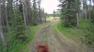 Thompson Country HT Helmet Cam Training XC [upl. by Waligore]