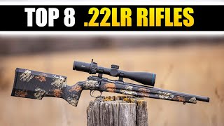 TOP 8 Best 22LR Rifles The Most Accurate 22 Rifles  Madman Review [upl. by Tonya]