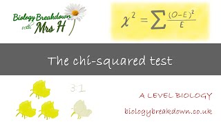 The ChiSquared Test  A Level Biology [upl. by Alleynad]