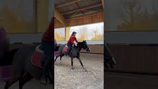 Depuis ses 4 ans 🥹🔥 horse cheval equestrian cso cavalier [upl. by Tarr287]