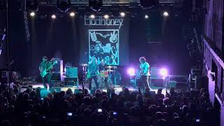 Mudhoney  Touch Me Im Sick live at Fléda Brno 19092024 [upl. by Safire503]