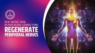 Regenerate Peripheral Nerves  Binaural Beats  Heal Nerve Pain Repair Nerve Connections [upl. by Selie86]