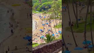 Hanauma Bay Hawaii hanaumabay beach honolulu hawaiibeach hawaiifood [upl. by Yrogreg910]