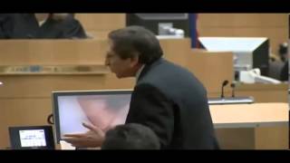 Jodi Arias Trial Day 55 Full [upl. by Brenn]