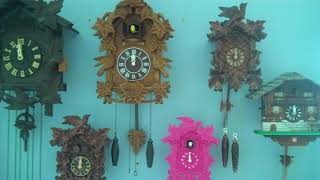 Cuckoo clock collectionMay 2018 [upl. by Tyrrell]