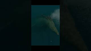 “Leviathan” Thalassophobia Animation shorts [upl. by Sapphera]