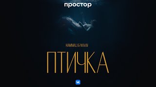 HammAli amp Navai  Птичка Премьера клипа [upl. by Neural470]