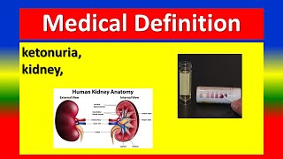 MEDICAL DEFINITION  ketonuria kidney [upl. by Khalsa287]