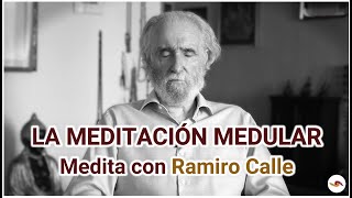 La meditación MEDULAR  Medita con Ramiro Calle [upl. by Sternlight606]