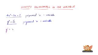 How to identify polynomials in one variable [upl. by Terryn]