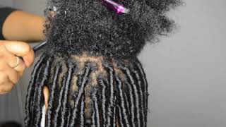 Starting Locs with Comb Coils [upl. by Queri]