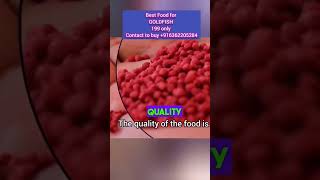 Best Food for Goldfish for Fast Growth Guarantee [upl. by Laehplar404]