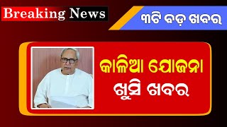 Kalia Yojana New Update 12th February  Sovereign Gold Bonds 2024  Odisha Mobile Video [upl. by Buffy]