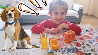 oyun videolari eglenceli çocuk videosu köpekli pet seti ile oyun [upl. by Swanhilda]