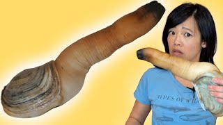 How to Clean amp Eat a Geoduck [upl. by Aynwat]