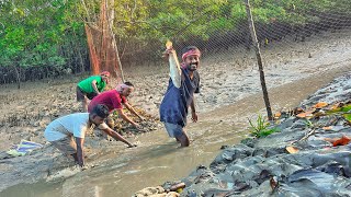 এই প্রথমবার সুন্দরবন জঙ্গলেখাল পাটা দিয়ে মাছ ধরলাম🐟 [upl. by Dohsar590]