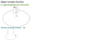 Ligandgated ion channel receptors  in Arabic  بالعربي [upl. by Tnahsarp]