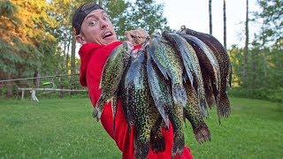 GIANT Black CRAPPIE Catch amp Cook [upl. by Mixie99]