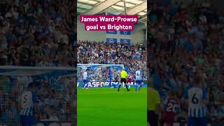 James WardProwse goal vs Brighton [upl. by Kellen528]